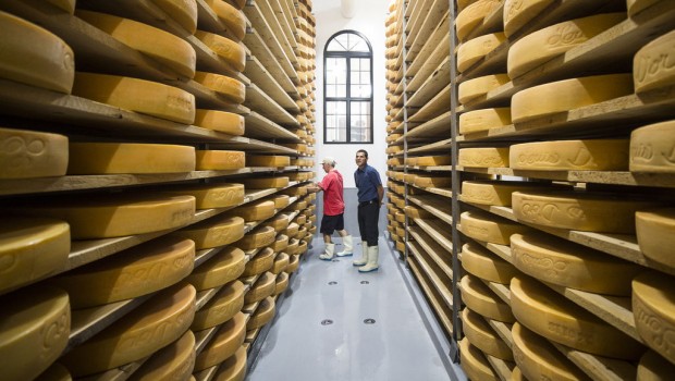 Le Bleu d’Élizabeth sacré meilleur fromage du Québec